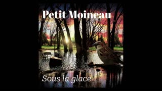 Petit Moineau - Sous la Glace