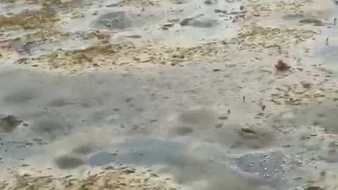 Hurricane Irma Leaves Bahamas Beach Without Water