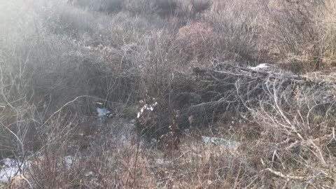 Wife and I hiking