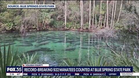 932 Manatee record-breaking count