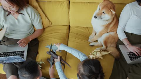 A Child Sitting On Sofa With Her Pet Dog