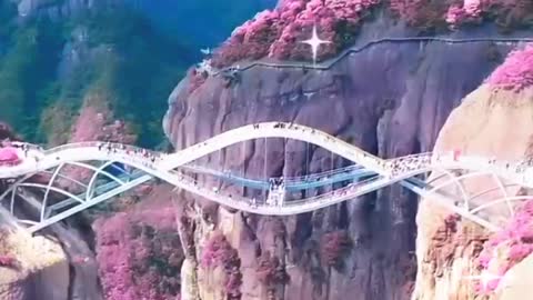 stroll over magnificent and different bridge