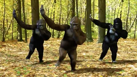 Ego - The Crazy Things We Do (Dancing gorillas)