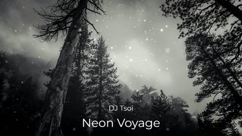 (Sin Copyright) DJ Tsoi - Neon Voyage