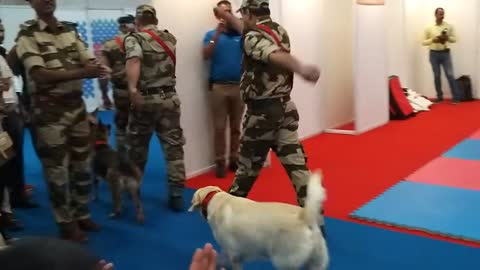 CISF police demonstration of dogs in simple way