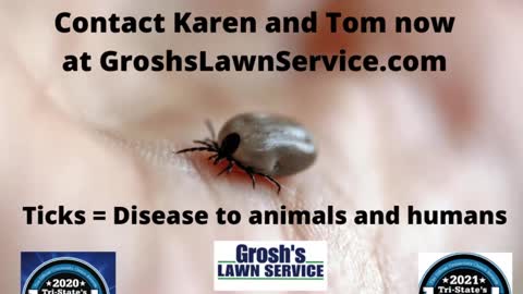Ticks Smithsburg Maryland Lyme Disease Lawn Care Service