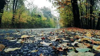 Relaxing sound with rain