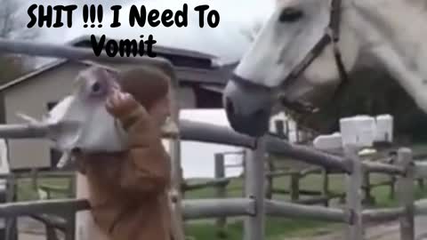 Horse Immediately Regret Its Action #funny #cute #horse