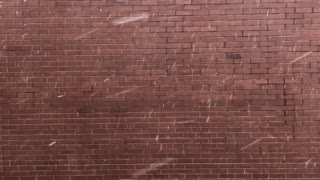 Snowing in Front of a Brick Backdrop