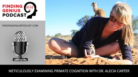 Meticulously Examining Primate Cognition With Dr. Alecia Carter