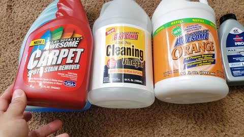 This old carpet spot/stain are gone just used dollar store products