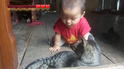 nephew and cat play together