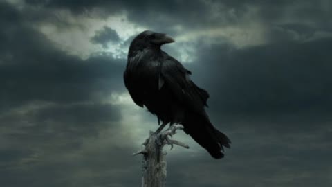 THE RAVEN - My Attempt at Reading Edgar Allan Poe's Classic Poem