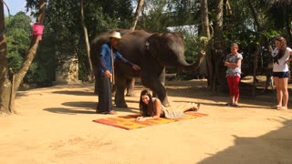 Elephant massage doesn't hurt at all
