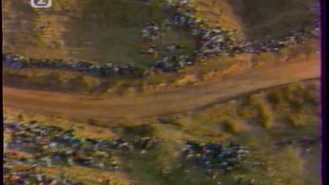 Rallye Argentina 1993