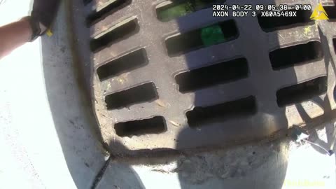 Bodycam shows ducklings trapped in storm drain, rescued by Westerville police