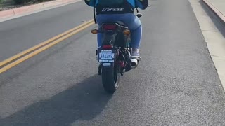 Doggy Enjoying Her First Motorcycle Ride