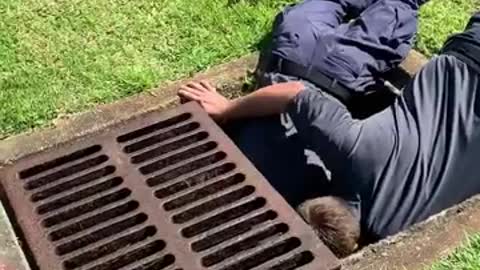 Florida fire crew rescues ducklings from drain