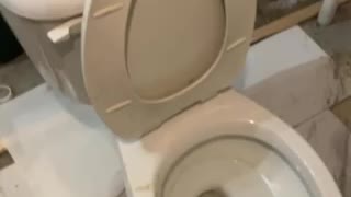Basement toilet