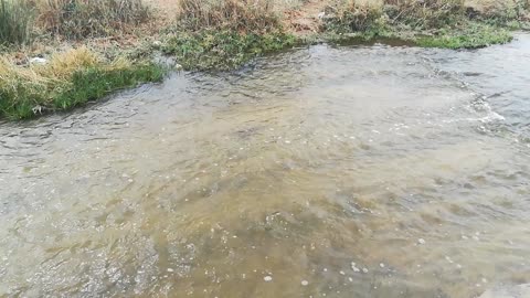 Small Type Of Fishes Lives Inside Waterfalls Of Wadi El Rayan