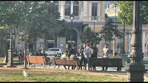 Trieste: Sindaco, allarme migranti e pane a 12.5 euro!