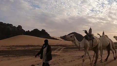 Algeria desert