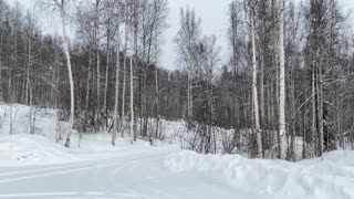 Wintertime wonder land alaska