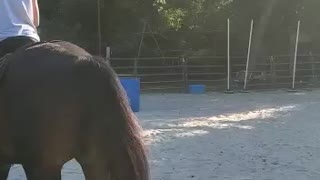 Barrel race practice "newbie"