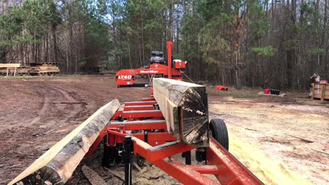 Quarter-sawing a Big Scarlett Oak on Wood-Mizer LT40 Wide