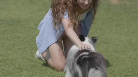 #cute dog Playing with girlfriend shorts video