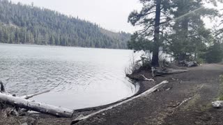 Hiking Through South Shore Campground – Suttle Lake – Central Oregon – 4K