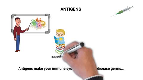 What Vaccines are made of...