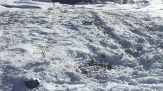 Snowboard rock ledge legs in air