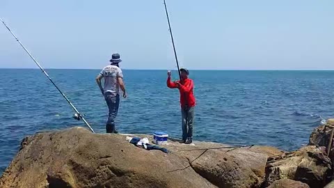 Fishing In A Trap Is Wonderful