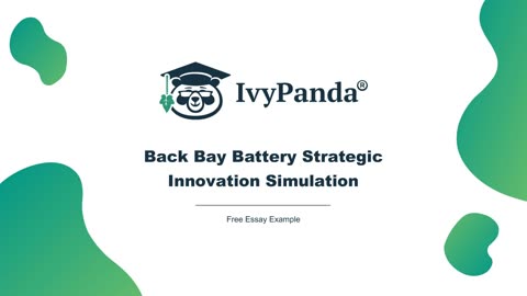 Back Bay Battery Strategic Innovation Simulation | Free Essay Example