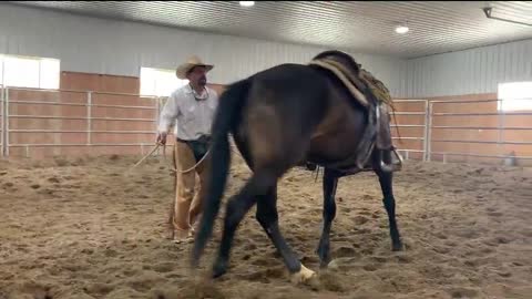 Ramon Castro Horsemanship: Maddie on Groundwork