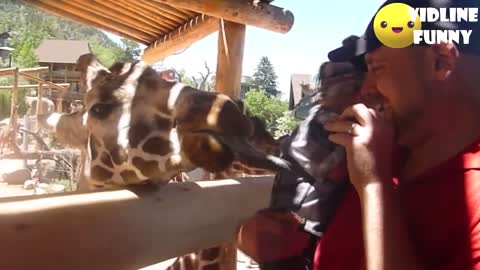 Funny fails in the zoo! TRY NOT TO LAUGH COMPILATION