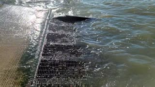 Watch a Strange Effect from Waves While Hitting a Boat Ramp