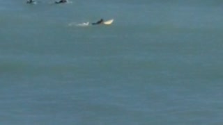 Black wet suit guy floating on small waves surf