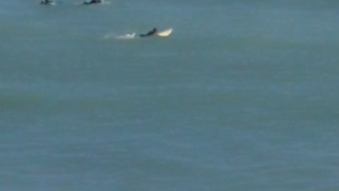 Black wet suit guy floating on small waves surf