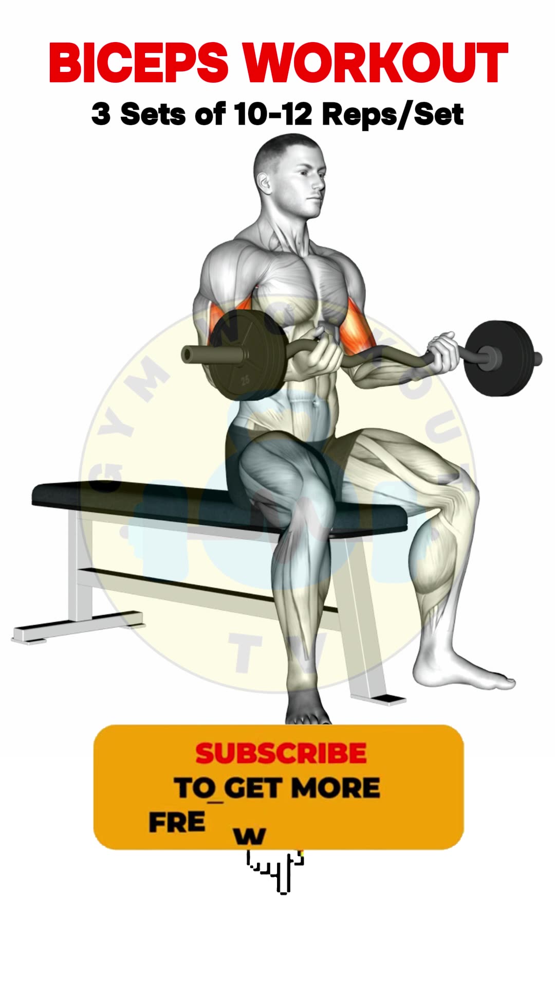 Ultimate Bicep Workout Guide #shorts #bicepsworkout