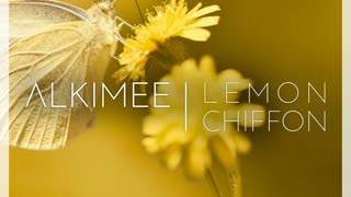 Lemon Chiffon - Alkimee