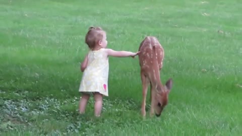 Hi fawn, I won’t go until we are friends.