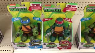 Ninja Turtle Toys