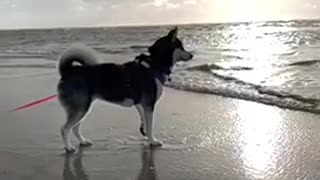 Yuki is at the sea