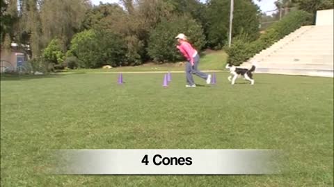 Train your dog to do Wide Circles - Clicker Training Tricks