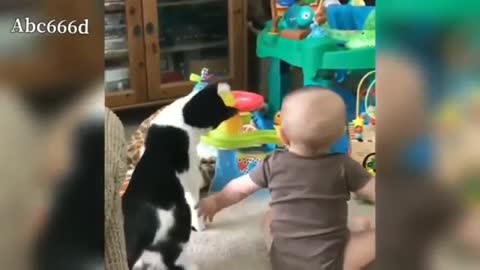 Funny videos, kids, cats and dogs. Its so CUTE!!