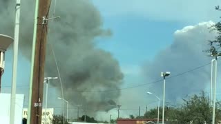 Sugar Cane harvest in South Texas!