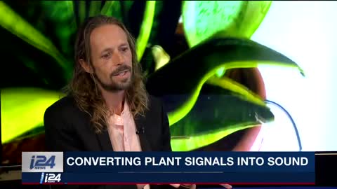 Do plants sing? Is the world around us alive?