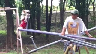 Doggo Rides Seesaw with Delight